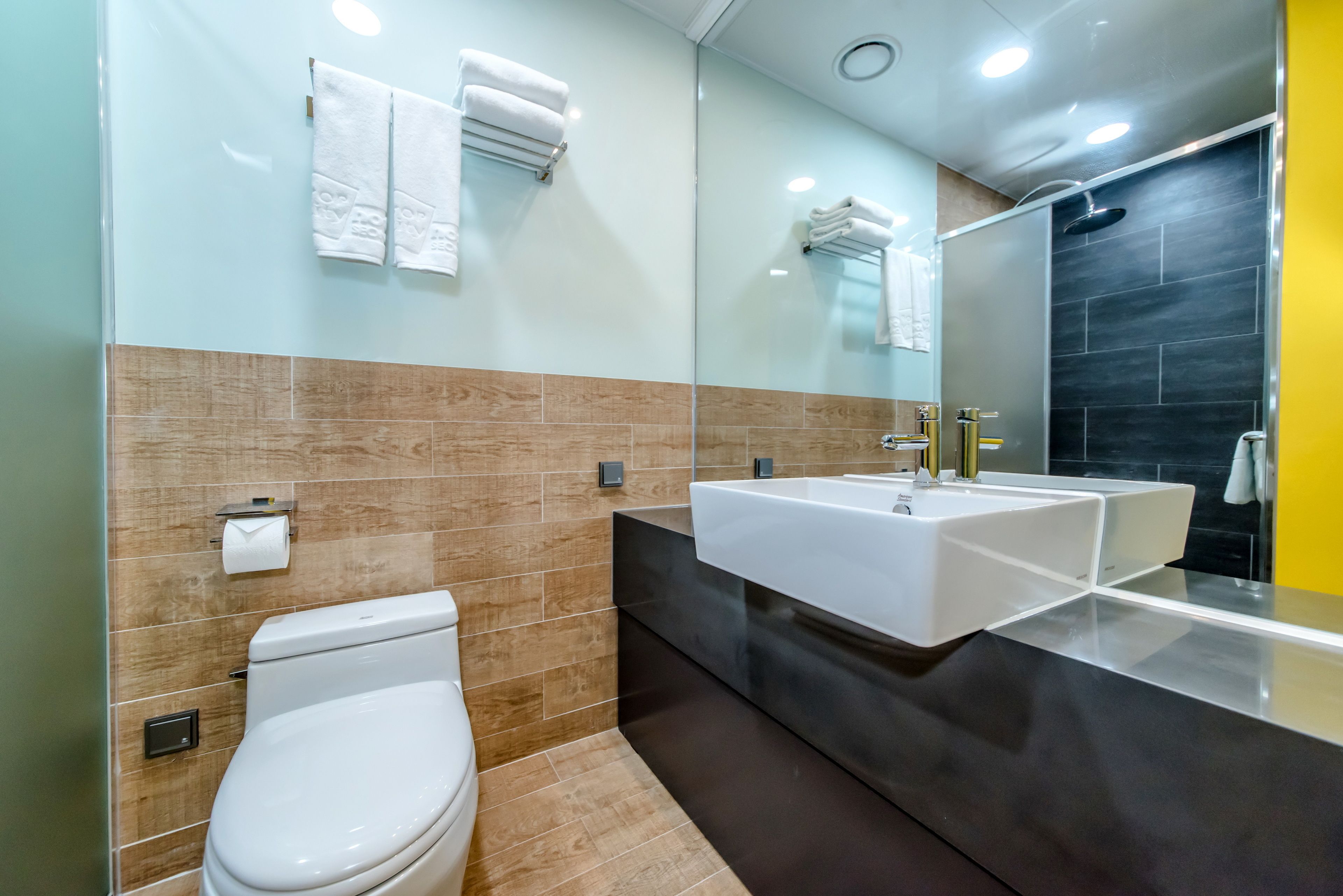 shower, hair dryer, slippers, bidet