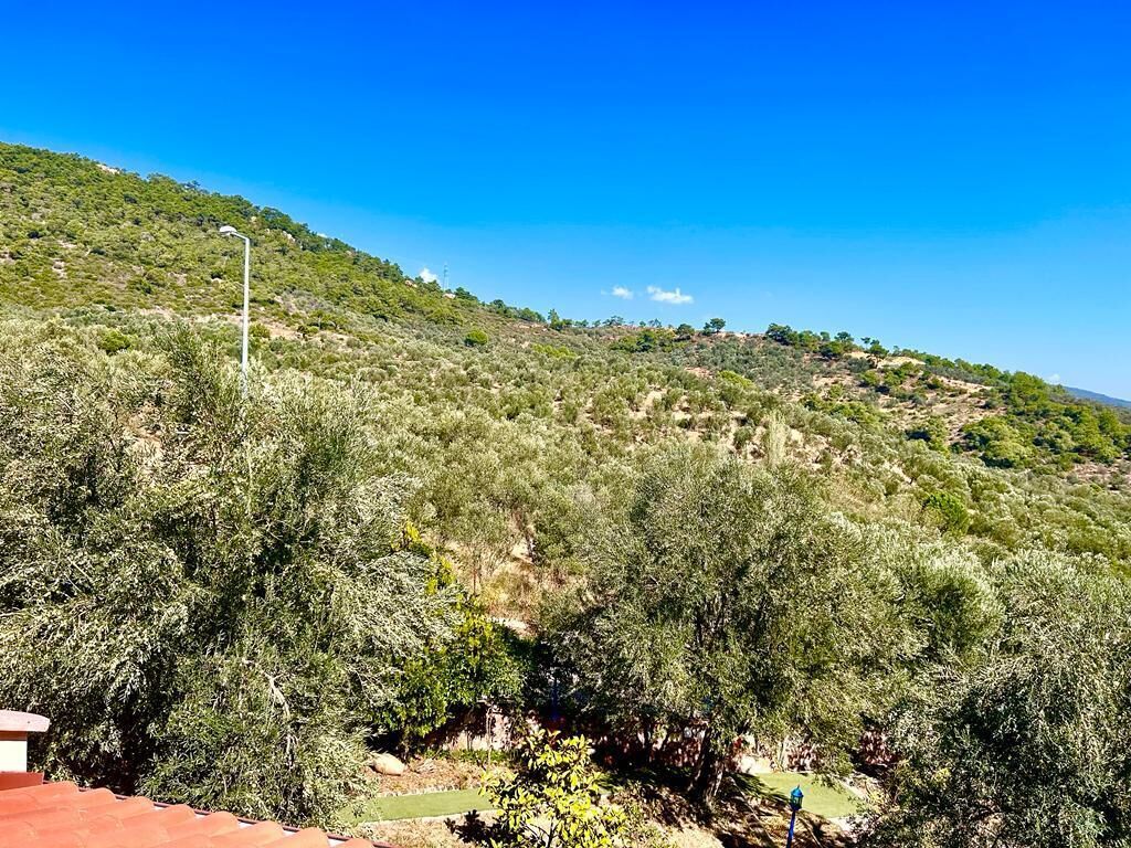 deluxe double room, mountain view | mountain view