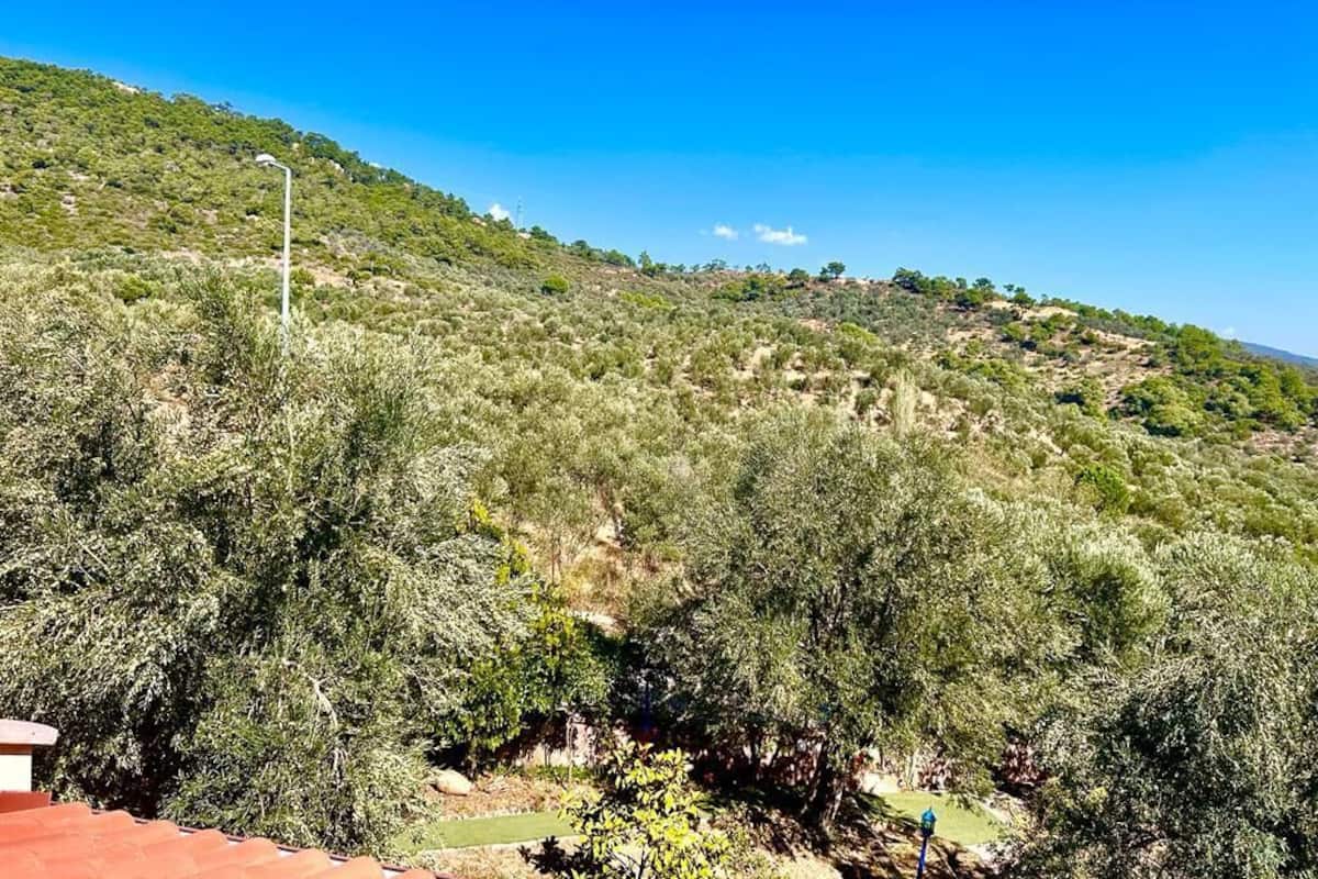 Deluxe Tek Büyük Yataklı Oda, Dağ Manzaralı | Dağ manzarası