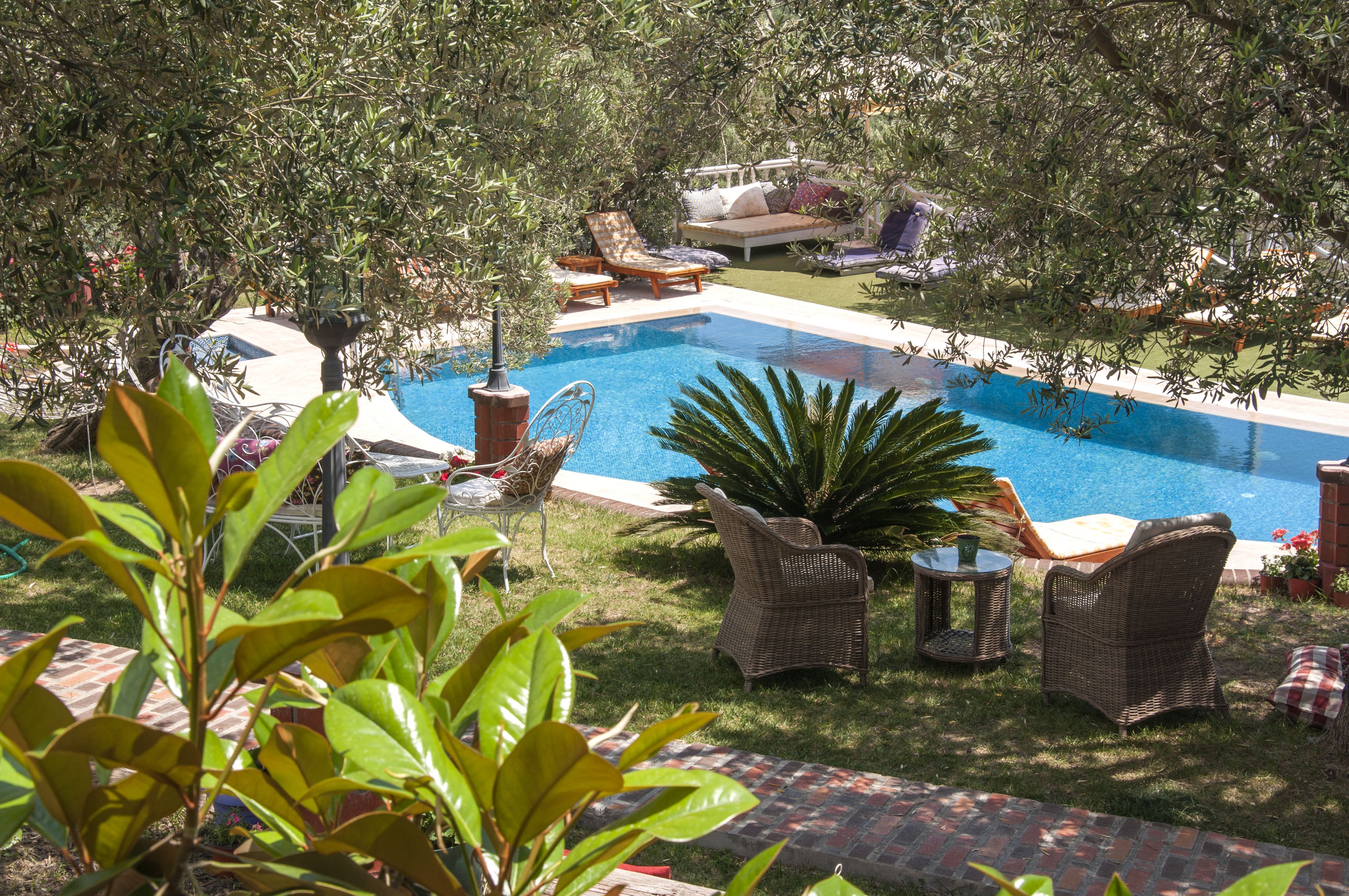 outdoor pool, pool umbrellas, pool loungers