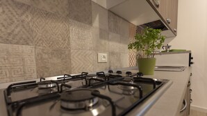 A kitchen with a gas stove, a green plant, and a modern tiled backsplash. - Piazza Marina (Palermo)