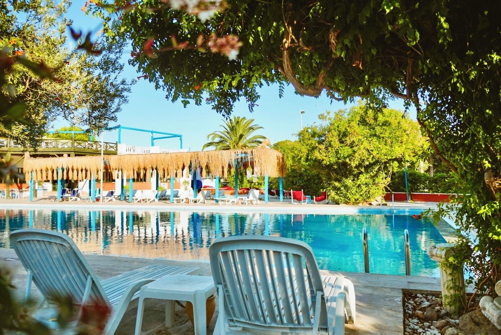 A swimming pool with lounge chairs and a thatched-roof structure.