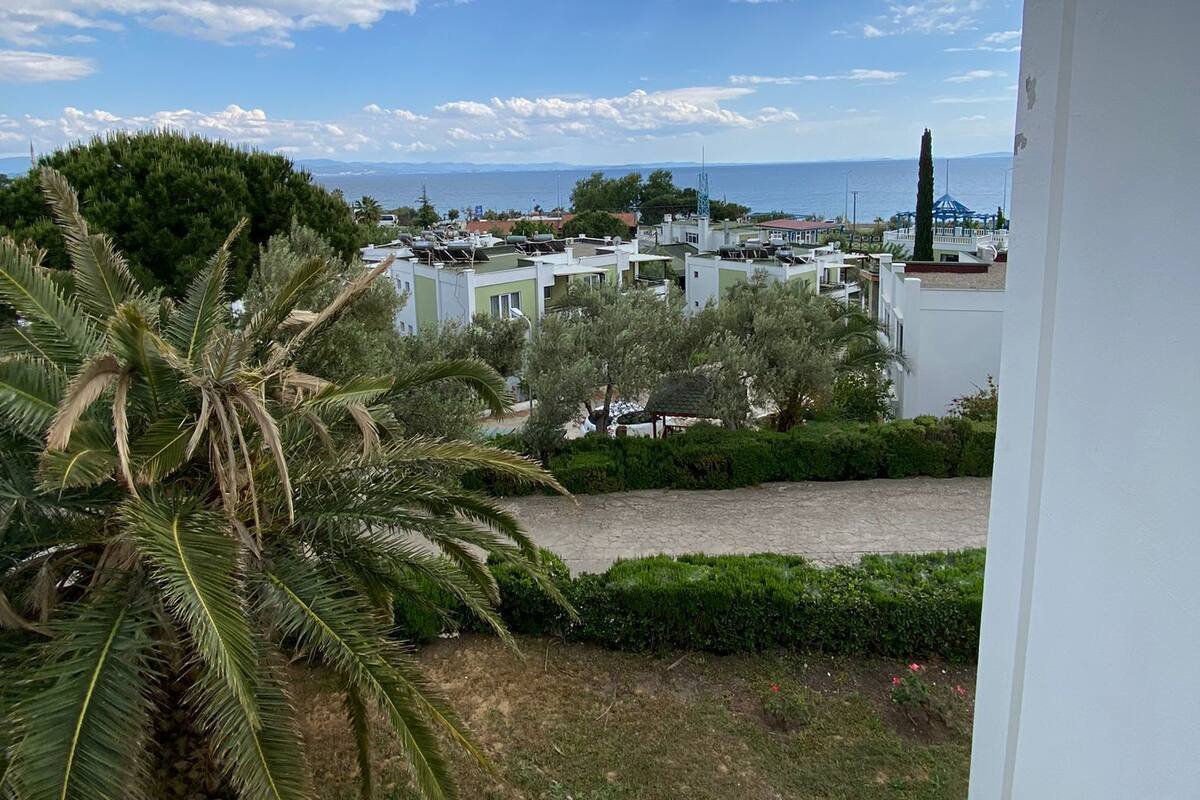 Vista costera con edificios blancos, una palmera y cielo despejado.