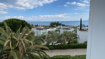 A coastal view with white buildings, a palm tree, and a clear sky.