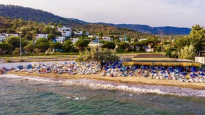 A beach with rows of sun loungers and umbrellas, a thatched-roof structure, and buildings in the background. - Club Afrodit (Edremit)