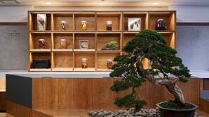 A reception area with a wooden reception desk, a bonsai tree, and a display of various items including jars and a kettle. - Hotel Etwas Tenjin (Fukuoka)