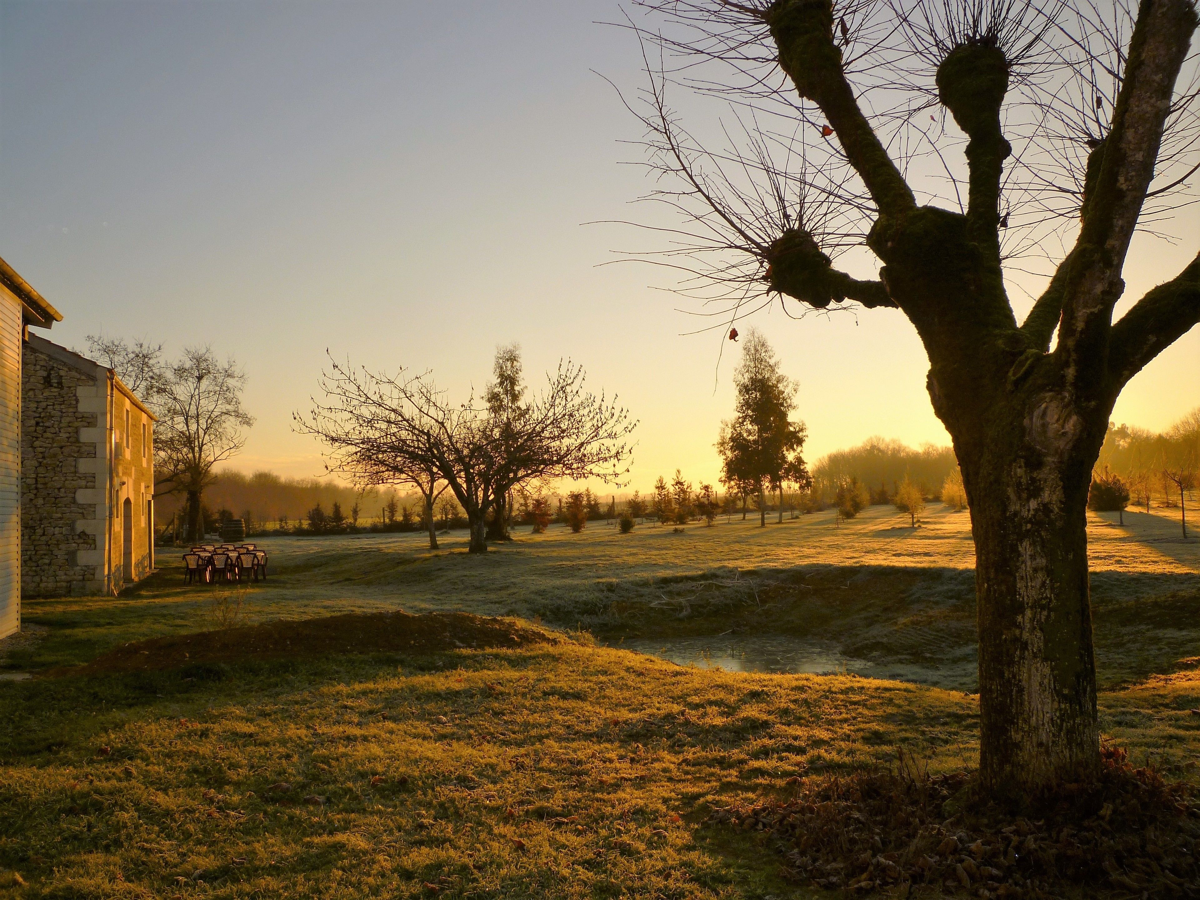 A rural landscape with a stone building, a large tree, and a grassy field.