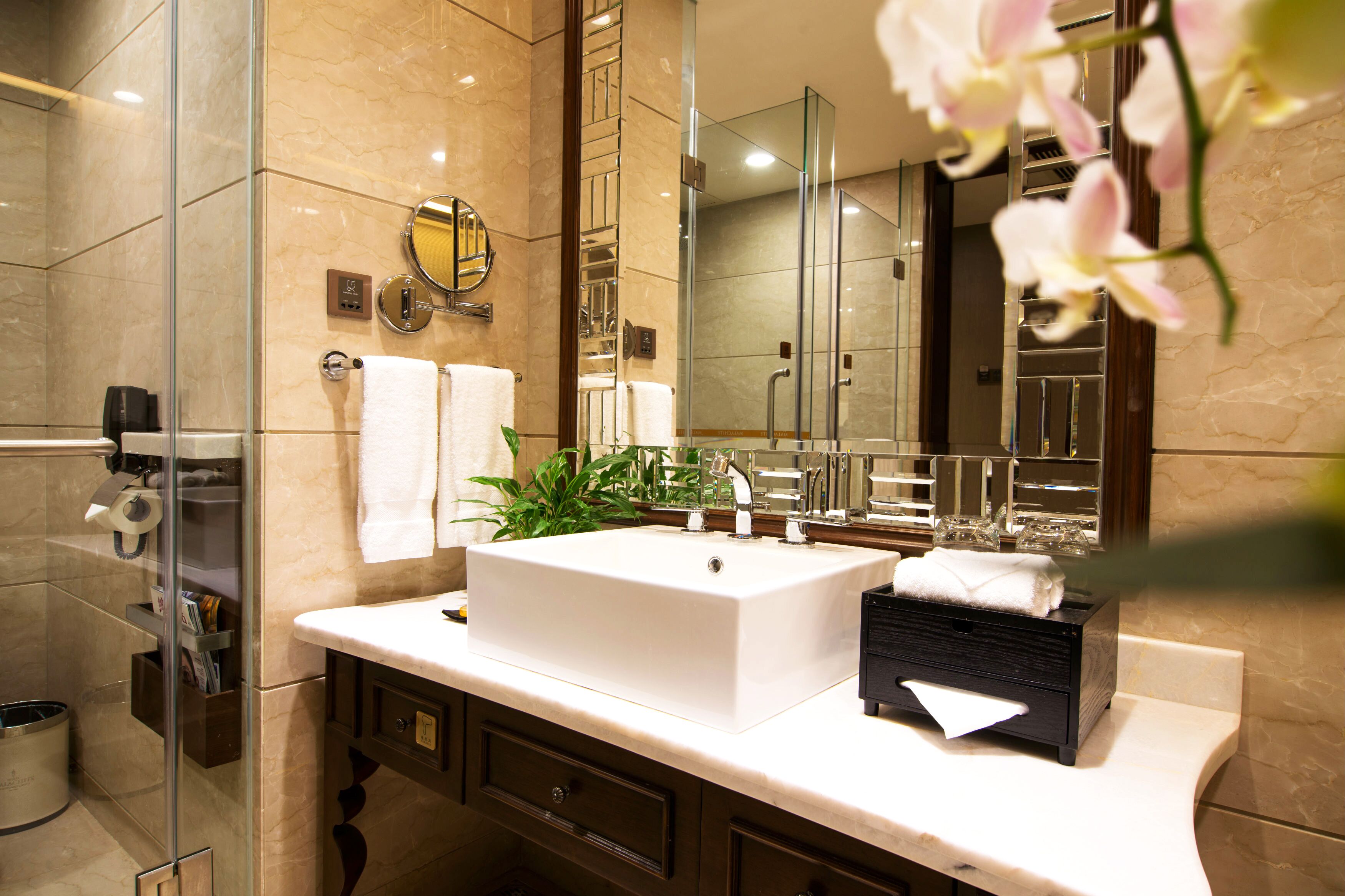 separate bathtub and shower, free toiletries, hair dryer, dressing gowns