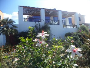 Terrace/patio - Ilis Villas (Andravida-Kyllini)