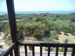 Family Villa (Ephyra) | Balcony view