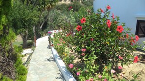 A pathway leading to a white building surrounded by lush greenery and flowering plants. - Ilis Villas (Andravida-Kyllini)