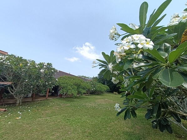 TV - MOTEL DESA (Kuala Terengganu)