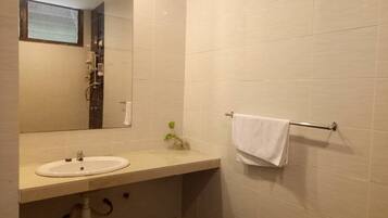A bathroom with a sink, mirror, towel rack, and a small plant.