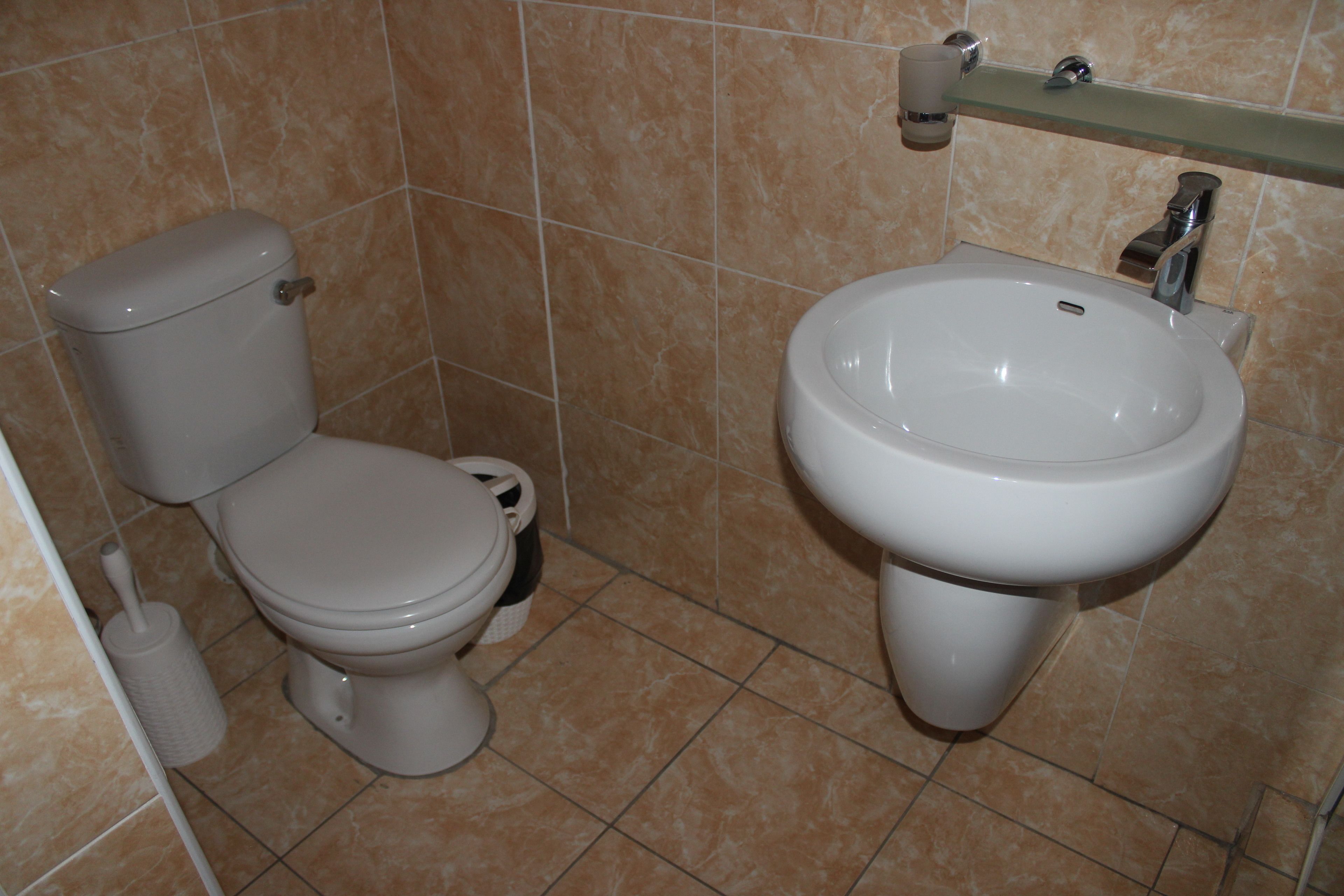 Une salle de bain avec des toilettes et un lavabo.