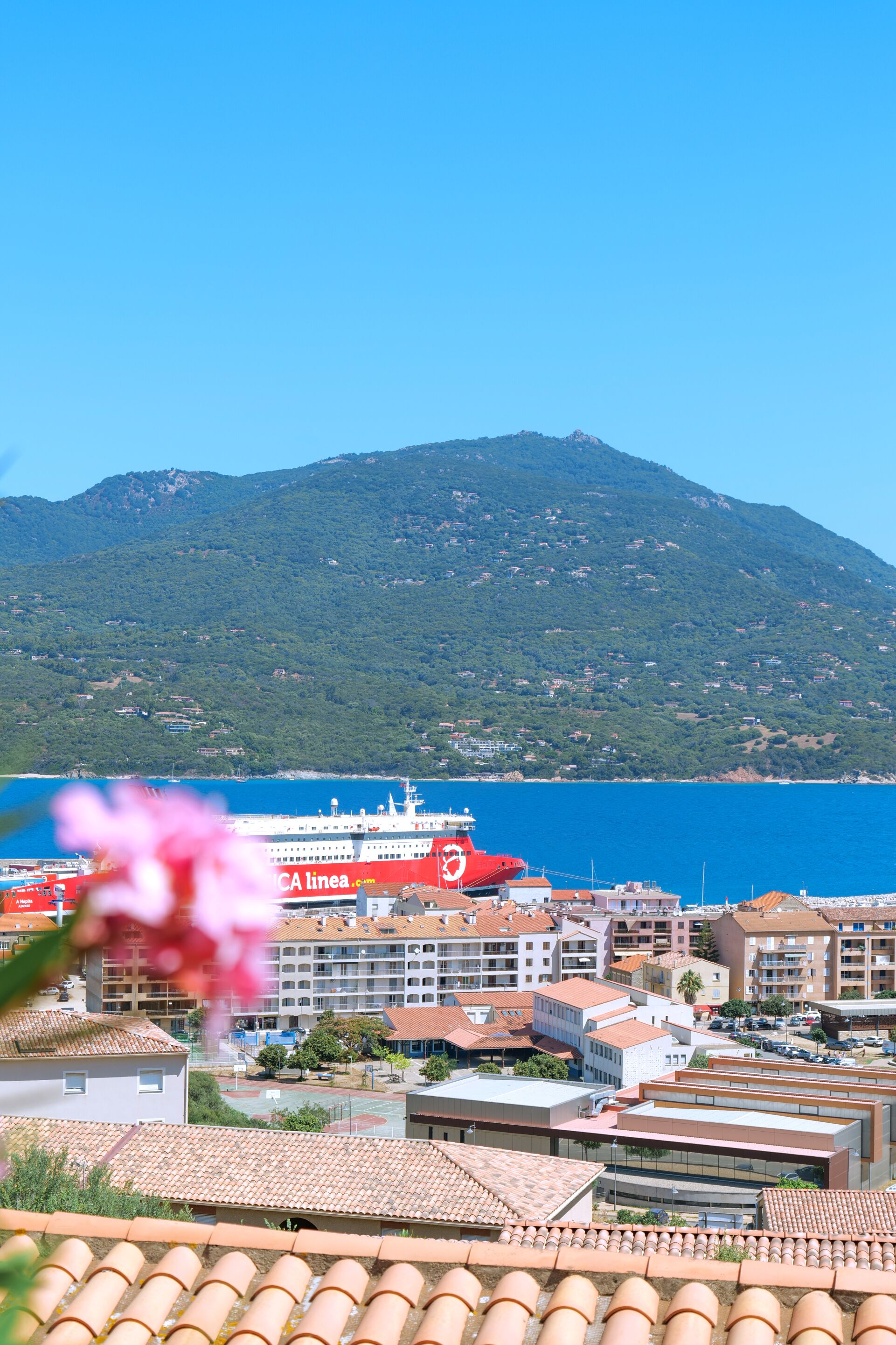 A coastal cityscape with a cruise ship docked at the harbor, buildings with red-tiled roofs, and a mountain in the background.