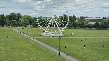 A large open park with a prominent white Ferris wheel in the center, surrounded by green grass and trees.