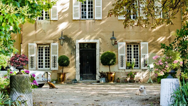 Un bâtiment avec une porte d’entrée, deux fenêtres avec volets et un petit jardin agrémenté de plantes en pot et d’un chien.