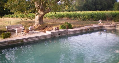 Domaine le Clos du Pavillon
