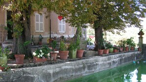 Une cour agrémentée d’un élément décoratif aquatique, de plantes en pot et d’un bâtiment aux volets fermés.