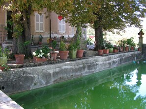 Alberca al aire libre y camastros 