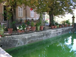 Una piscina al aire libre, sillones reclinables de piscina