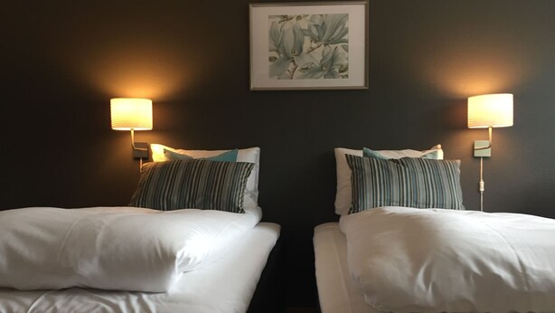 Two single beds with white linens and striped pillows, flanked by wall-mounted lamps, in a room with dark walls and a framed botanical print above the beds. - Kongsvinger Budget Hotel (Kongsvinger)