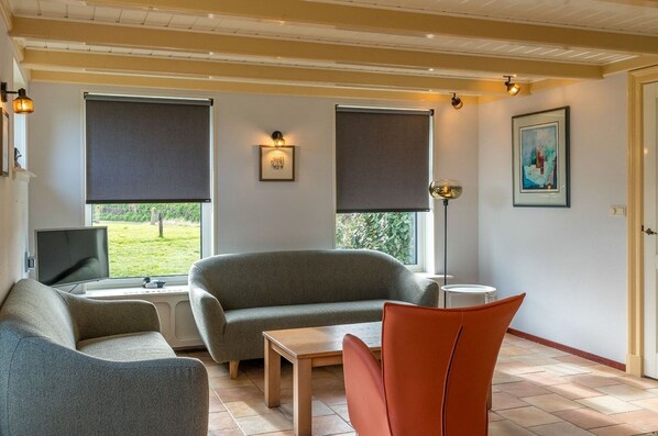 Télévision, cheminée