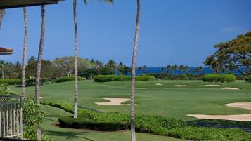 Vista da propriedade