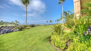 A well-maintained lawn with palm trees, a stone wall, and a building with large windows.
