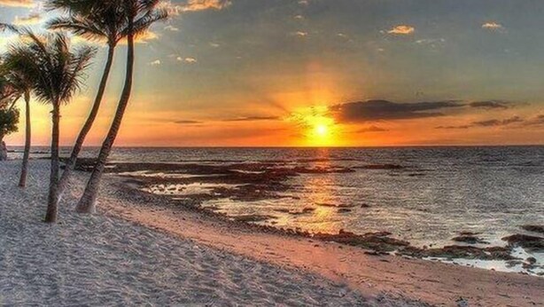 A beach scene with palm trees and a sunset over the ocean. - Fairways at Mauna Lani 1305 (Kamuela)