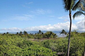 Exterior - Fairways at Mauna Lani 1104 (Kamuela)