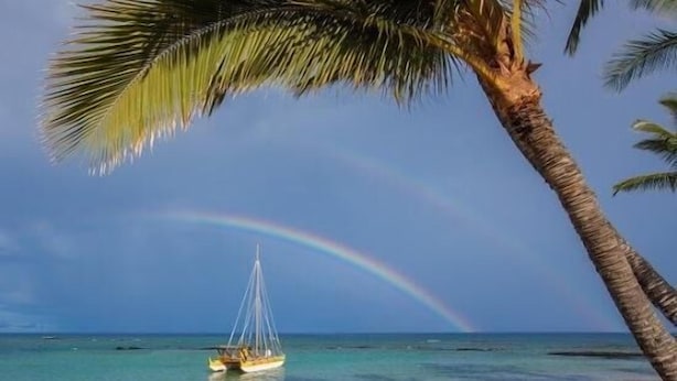 Ein Strand mit Segelboot, Palmen und einem Regenbogen.