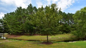 A natural landscape with a small pond, dense trees, and a grassy area. - 1715 Willow Bend (North Myrtle Beach)
