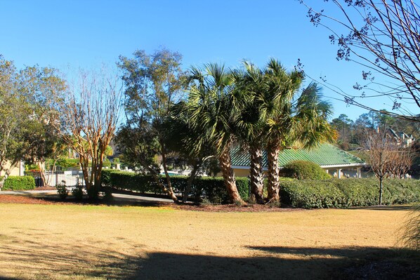 A landscaped area with palm trees, a building with a green roof, and a clear blue sky.