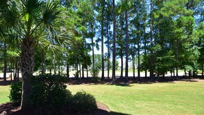 A well-maintained grassy area with a palm tree and a variety of other trees, likely in a park or similar outdoor setting. - 411 Willow Bend (North Myrtle Beach)