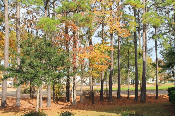 Property grounds - 614 Willow Bend (North Myrtle Beach)