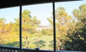 Vista dalla camera