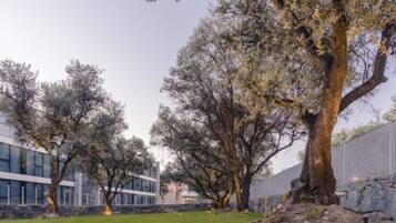 A modern building with a grassy courtyard, large trees, and a stone wall.