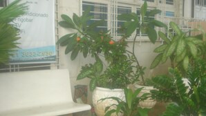 A white bench, potted plants, and a building with a window and a sign. - Pousada Mar e Sol (Recife)