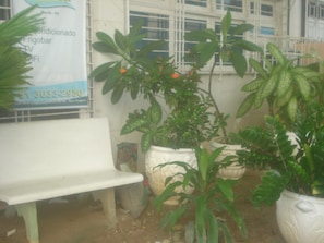 Terrein van de accommodatie