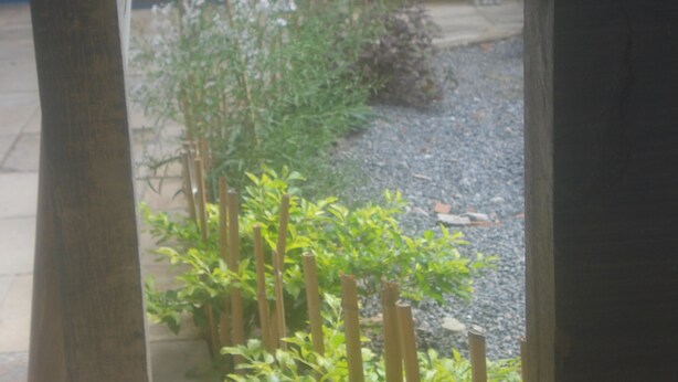 A garden with a variety of plants and a small wooden fence. - Pousada Mar e Sol (Recife)