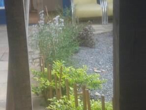 A garden with a variety of plants and a small wooden fence.