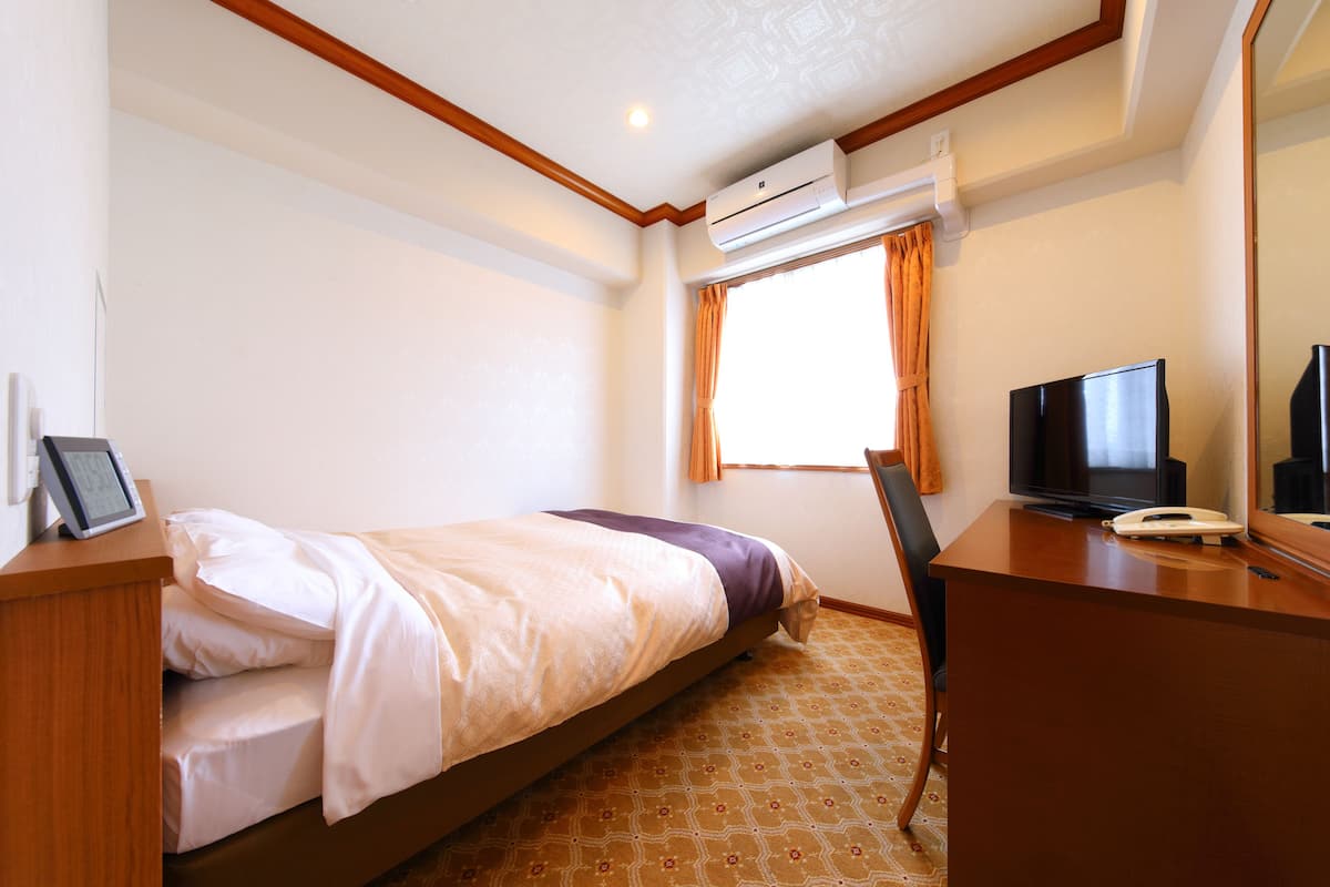 A hotel room with a bed, a desk, a television, and an air conditioning unit.
