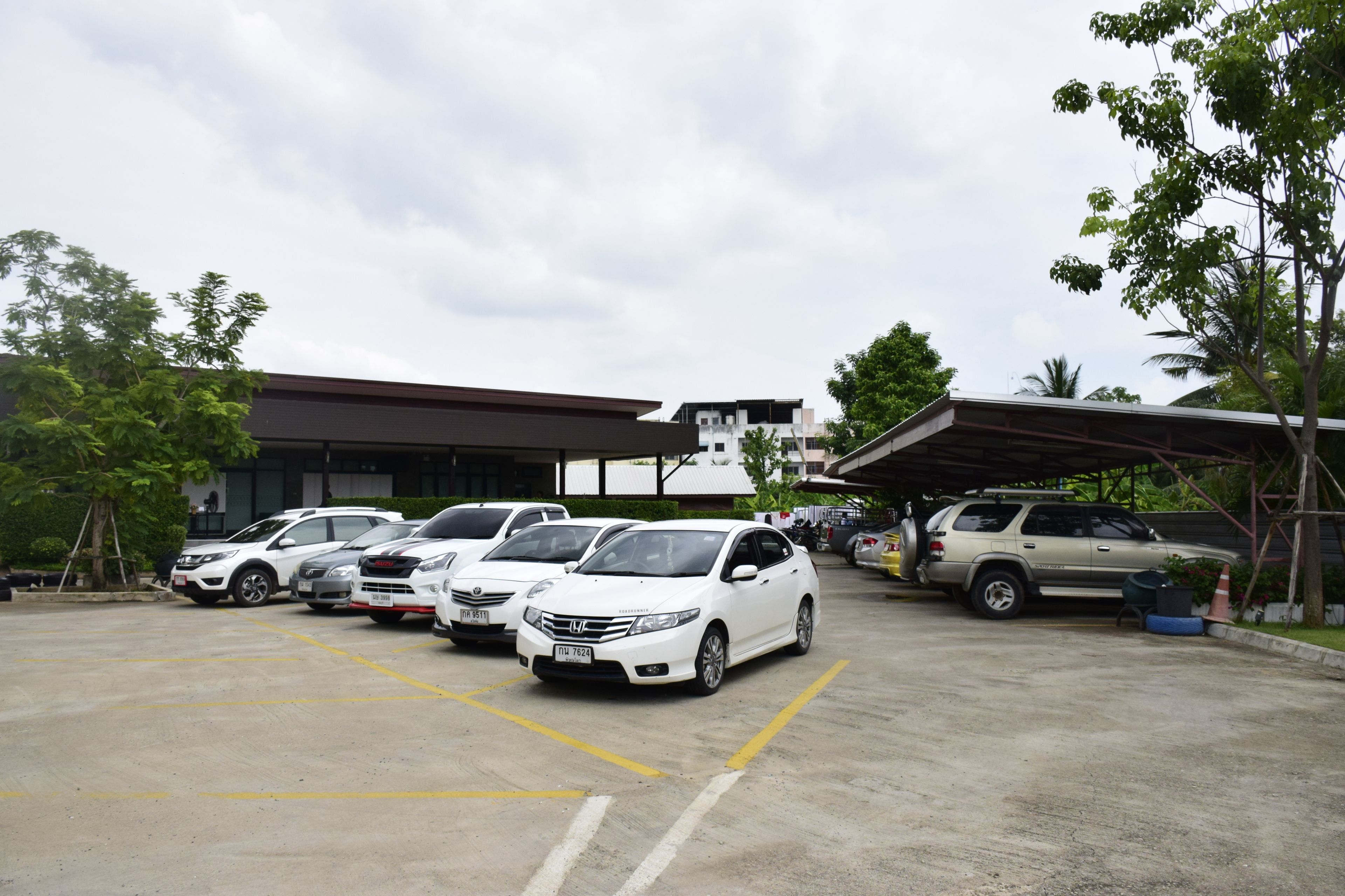 Un estacionamiento con varios coches blancos aparcados en plazas designadas.