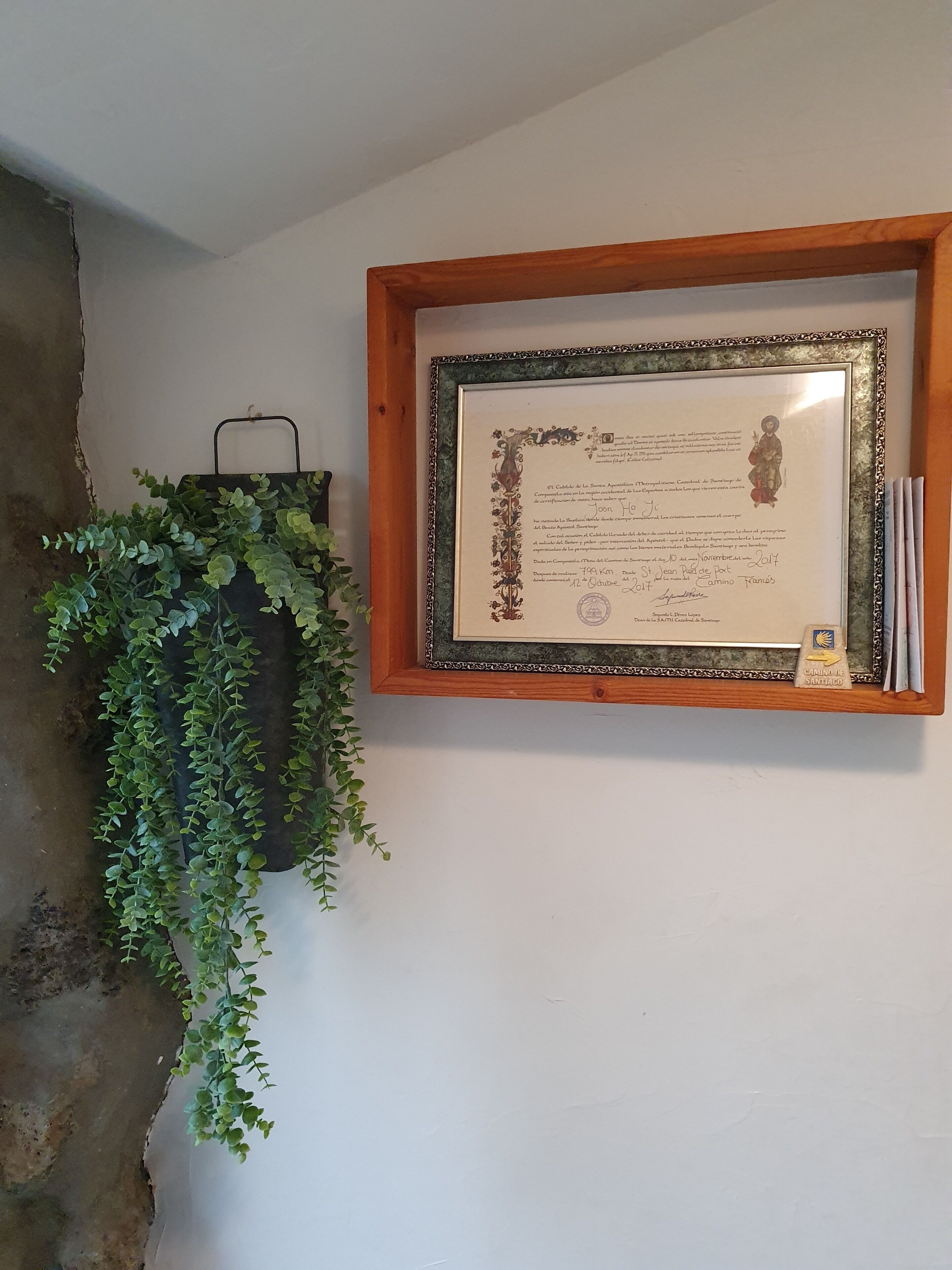 Un documento en un marco colgado en una pared, una maceta colgante con follaje verde y una pared de piedra.
