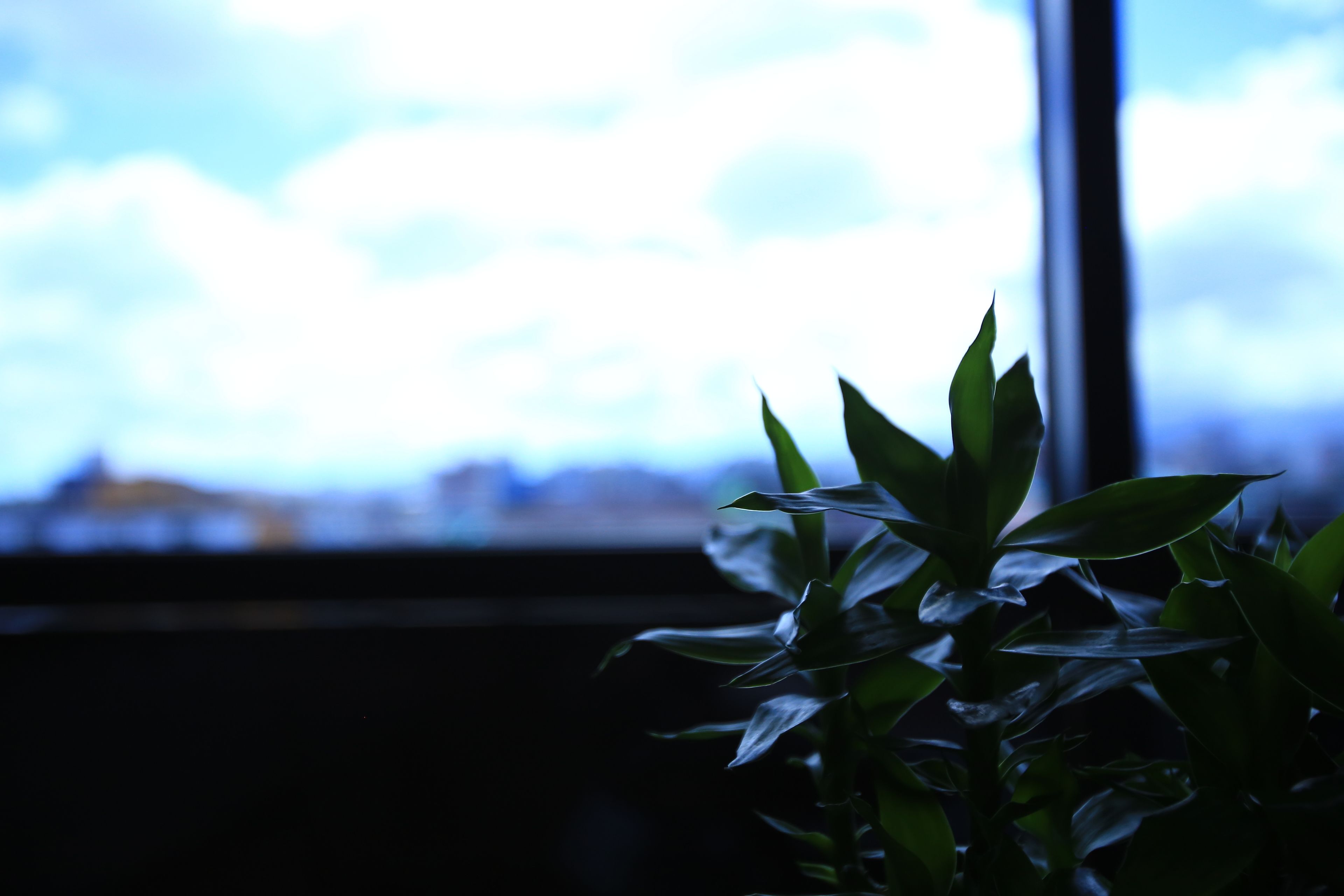 standard double room | blackout curtains, free wifi