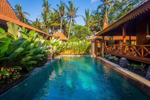 Outdoor pool - Taman Bali Ubud (Ubud)