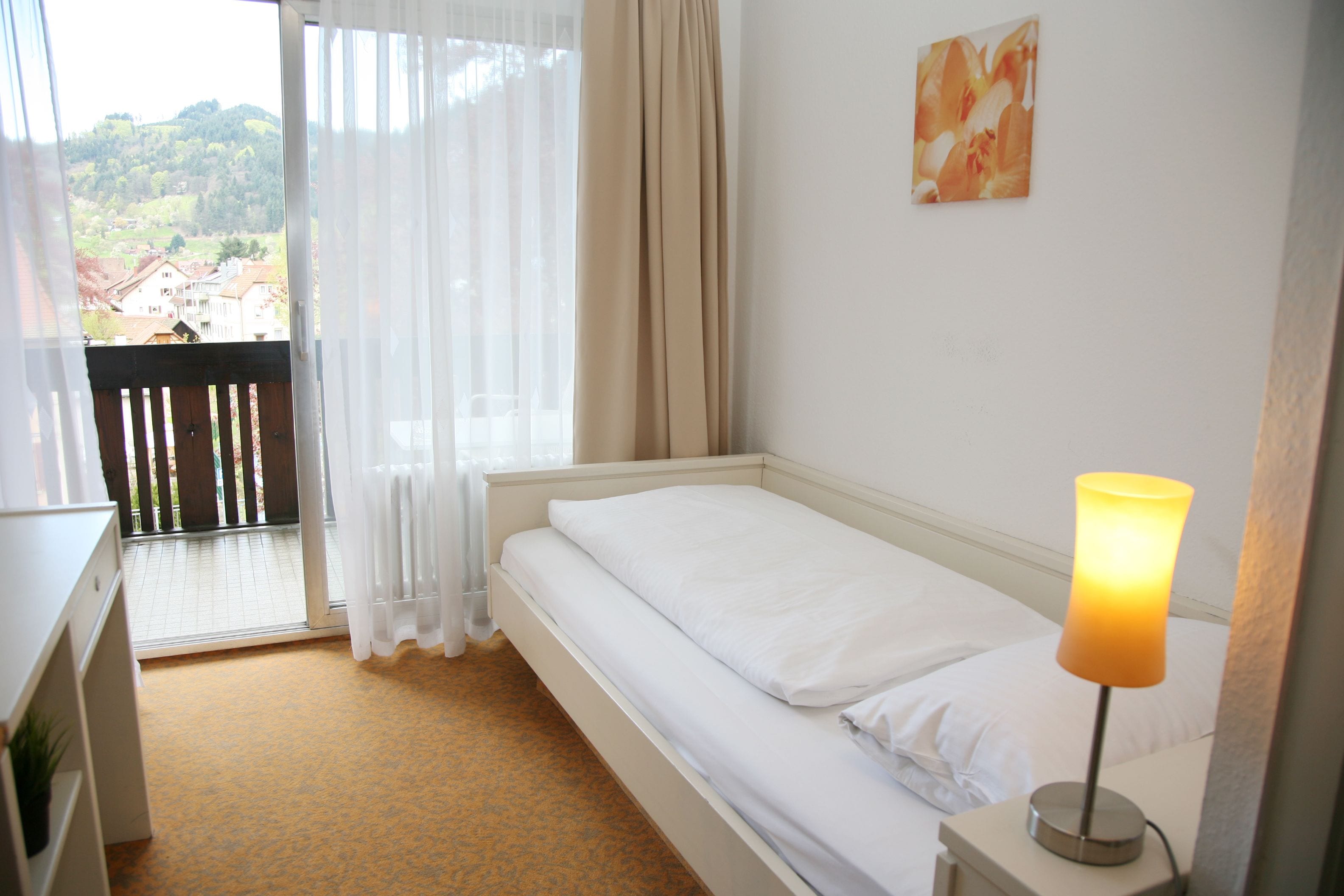 comfort single room, balcony (main building) | view from room