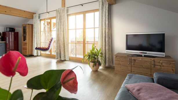 A living room with a wooden floor, a TV on a wooden cabinet, a hanging chair, a potted plant, and a large window with curtains. - Pension Bernhardhof (Otterfing)