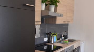 Apartment, 2 Bedrooms, Private Bathroom, River View | Private kitchen | Fridge, microwave, stovetop, cookware/dishes/utensils